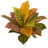image:imageNearly Natural 17 Garden Croton Artificial Real Touch Set of 6 Silk Plants Multi