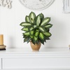 image:imageNearly Natural 18 in Artificial Dieffenbachia Plant in Ceramic Planter