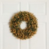 image:imageNearly Natural 18in PreLit Autumn Boxwood Artificial Fall Wreath with 25 Warm White LED Lights