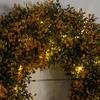 image:imageNearly Natural 18in PreLit Autumn Boxwood Artificial Fall Wreath with 25 Warm White LED Lights
