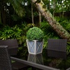 image:imageNearly Natural 18in UV Resistant Artificial Boxwood Ball Topiary with LED Lights in Decorative Planter IndoorOutdoor