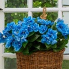 image:imageNearly Natural 19in UV Resistant Artificial Azalea Bush IndoorOutdoor  Set of 3Blue