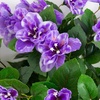 image:imageNearly Natural 19in UV Resistant Artificial Azalea Bush IndoorOutdoor  Set of 3Purple