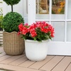 image:imageNearly Natural 19in UV Resistant Artificial Azalea Bush IndoorOutdoor  Set of 3Red