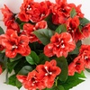 image:imageNearly Natural 19in UV Resistant Artificial Azalea Bush IndoorOutdoor  Set of 3Red
