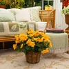 image:imageNearly Natural 19in UV Resistant Artificial Azalea Bush IndoorOutdoor  Set of 3Yellow