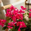 image:imageNearly Natural 19in UV Resistant Artificial Bougainvillea Bush IndoorOutdoor  Set of 4Pink