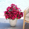 image:imageNearly Natural 19in UV Resistant Artificial Bougainvillea Bush IndoorOutdoor  Set of 4Pink