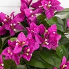image:imageNearly Natural 19in UV Resistant Artificial Bougainvillea Bush IndoorOutdoor  Set of 4Purple