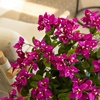 image:imageNearly Natural 19in UV Resistant Artificial Bougainvillea Bush IndoorOutdoor  Set of 4Purple