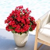 image:imageNearly Natural 19in UV Resistant Artificial Bougainvillea Bush IndoorOutdoor  Set of 4Red