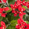 image:imageNearly Natural 19in UV Resistant Artificial Bougainvillea Bush IndoorOutdoor  Set of 4Red