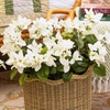 image:imageNearly Natural 19in UV Resistant Artificial Bougainvillea Bush IndoorOutdoor  Set of 4White