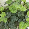 image:imageNearly Natural 19in UV Resistant Artificial Fittonia Bush IndoorOutdoor  Set of 3