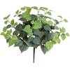 image:imageNearly Natural 19in UV Resistant Artificial Fittonia Bush IndoorOutdoor  Set of 3
