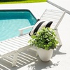 image:imageNearly Natural 19in UV Resistant Artificial Fittonia Bush IndoorOutdoor  Set of 3