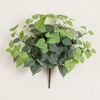 image:imageNearly Natural 19in UV Resistant Artificial Fittonia Bush IndoorOutdoor  Set of 3