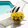 image:imageNearly Natural 19in UV Resistant Artificial Geranium Bush IndoorOutdoor  Set of 3