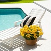 image:imageNearly Natural 19in UV Resistant Artificial Geranium Bush IndoorOutdoor  Set of 3