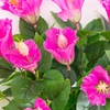image:imageNearly Natural 19in UV Resistant Artificial Hibiscus Bush IndoorOutdoor  Set of 3Purple