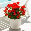 image:imageNearly Natural 19in UV Resistant Artificial Hibiscus Bush IndoorOutdoor  Set of 3Red
