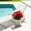 image:imageNearly Natural 19in UV Resistant Artificial Hibiscus Bush IndoorOutdoor  Set of 3Red