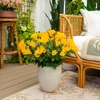 image:imageNearly Natural 19in UV Resistant Artificial Hibiscus Bush IndoorOutdoor  Set of 3Yellow