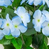 image:imageNearly Natural 19in UV Resistant Artificial Hydrangea Bush IndoorOutdoor  Set of 3Blue