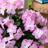 image:imageNearly Natural 19in UV Resistant Artificial Hydrangea Bush IndoorOutdoor  Set of 3Pink