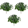 image:imageNearly Natural 19in UV Resistant Artificial Puff Ivy Bush IndoorOutdoor  Set of 3