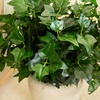 image:imageNearly Natural 19in UV Resistant Artificial Puff Ivy Bush IndoorOutdoor  Set of 3