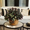 image:imageNearly Natural 19in UV Resistant Artificial Wandering Jew Bush IndoorOutdoor Set of 3