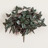 image:imageNearly Natural 19in UV Resistant Artificial Wandering Jew Bush IndoorOutdoor Set of 3