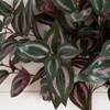 image:imageNearly Natural 19in UV Resistant Artificial Wandering Jew Bush IndoorOutdoor Set of 3