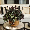 image:imageNearly Natural 19in UV Resistant Artificial Wandering Jew Bush IndoorOutdoor Set of 3