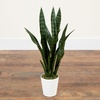 image:imageNearly Natural 2 ft Artificial Sansevieria Plant UVResistant Porch Decor