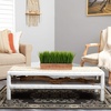 image:imageNearly Natural 20 in Artificial Vanilla Grass Plant in Decorative Planter
