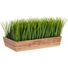 image:imageNearly Natural 20 in Artificial Vanilla Grass Plant in Decorative Planter