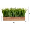 image:imageNearly Natural 20 in Artificial Vanilla Grass Plant in Decorative Planter
