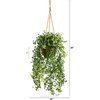 image:imageNearly Natural 20in Baby Tear Artificial Plant in Hanging Basket