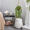 image:imageNearly Natural 20in Baby Tear Artificial Plant in Hanging Basket
