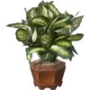 image:imageNearly Natural 22 in Artificial Triple Golden Dieffenbachia with Wood Vase