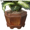 image:imageNearly Natural 22 in Artificial Triple Golden Dieffenbachia with Wood Vase