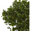 image:imageNearly Natural 23 in Artificial Peperomia UVResistant Outdoor Porch DecorGreen