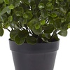 image:imageNearly Natural 23 in Artificial Peperomia UVResistant Outdoor Porch DecorGreen