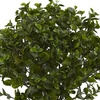 image:imageNearly Natural 23 in Artificial Peperomia UVResistant Outdoor Porch DecorGreen