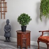 image:imageNearly Natural 23 in Artificial Peperomia UVResistant Outdoor Porch DecorGreen