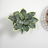 image:imageNearly Natural 23 in Variegated Hosta Artificial Plant Set of 6