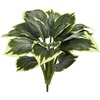 image:imageNearly Natural 23 in Variegated Hosta Artificial Plant Set of 6