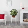 image:imageNearly Natural 24 in Artificial Golden Dieffenbachia Plant with Pot